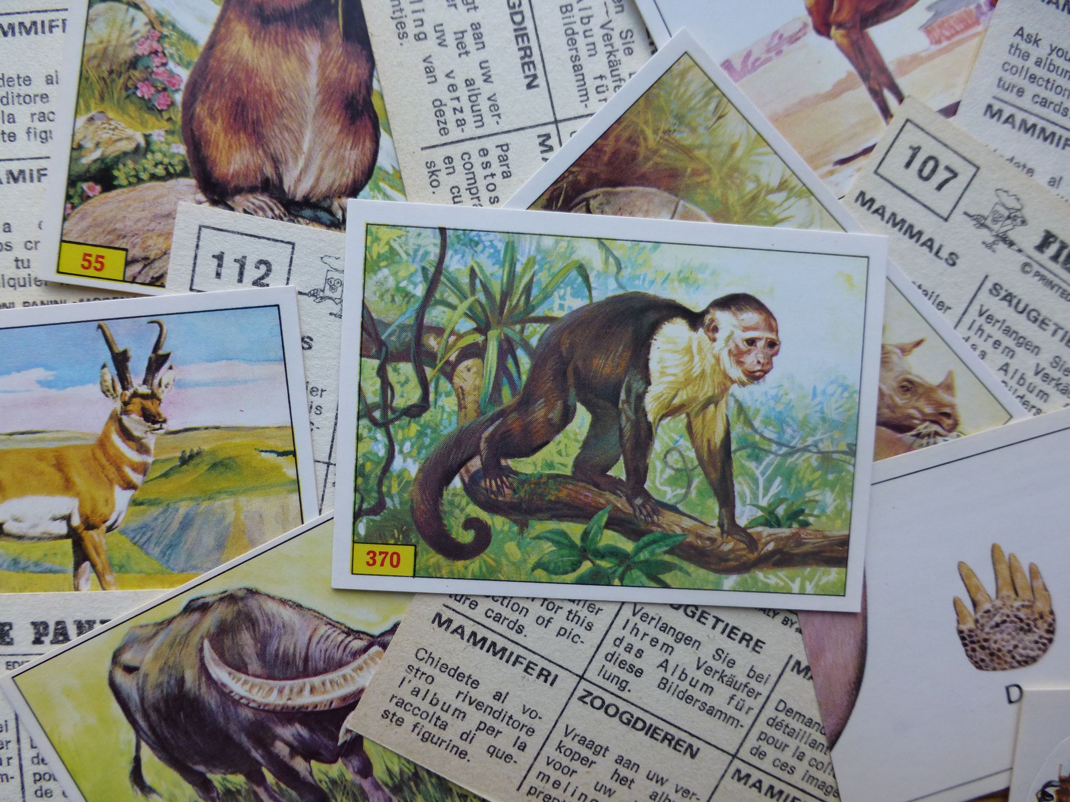 Panini Mammals Stickers