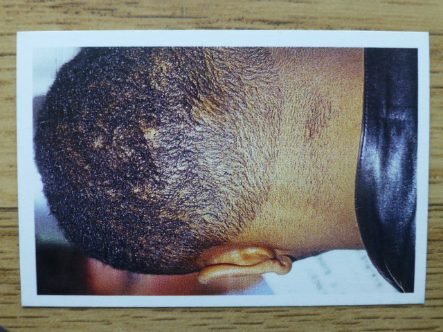 BBC Question of Sport Picture Round Card - Mike Tyson (1)